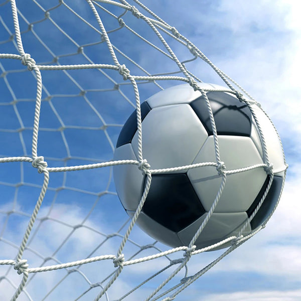 ProFold Soccer Practice Net